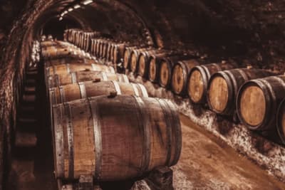 analisi innovazione vino